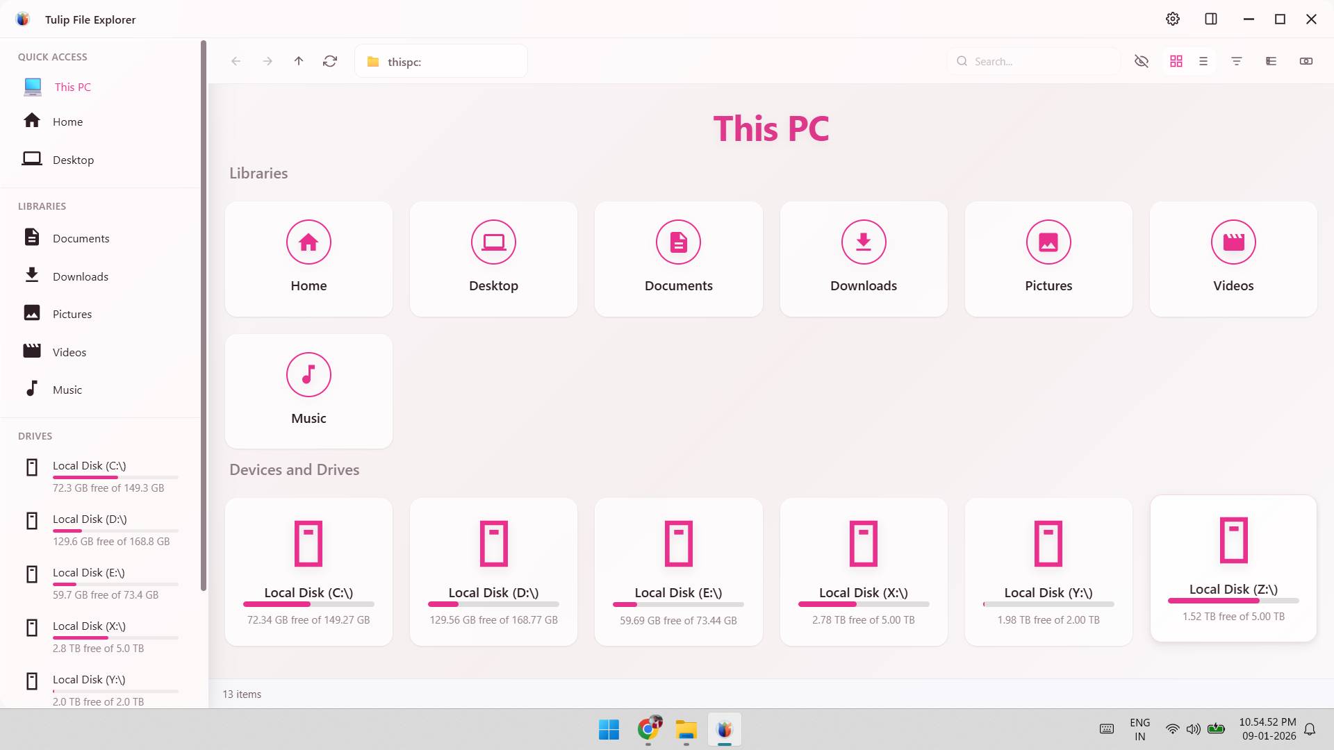 Tulip Main Interface